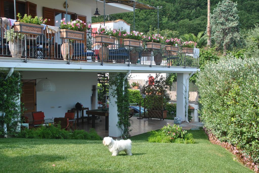 Casa Vacanze Villa Antonella By Gocce Vico Equense Extérieur photo